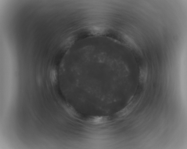 X0000111050130200907231604