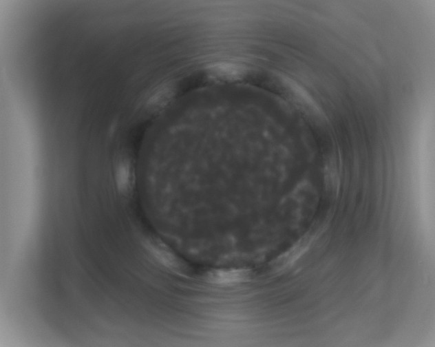 X0000111050134200907231604