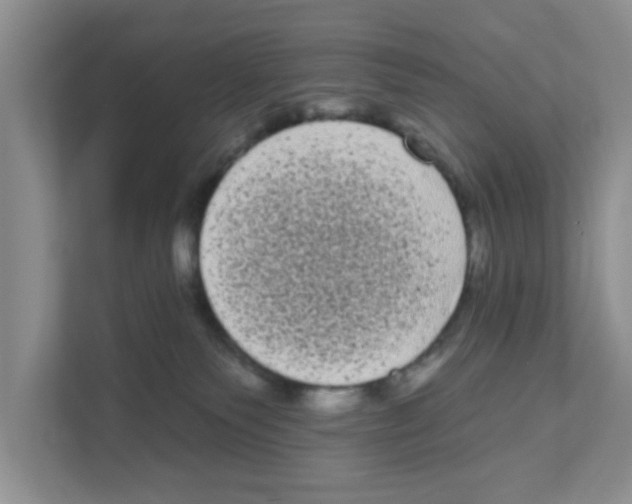 X0000111050135200907231604