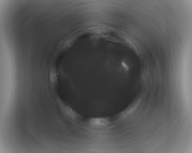 X0000111050137200907231604