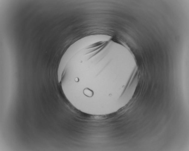 X0000111050141200907231604