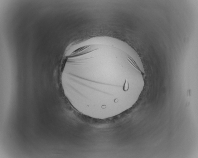 X0000111050144200907231604