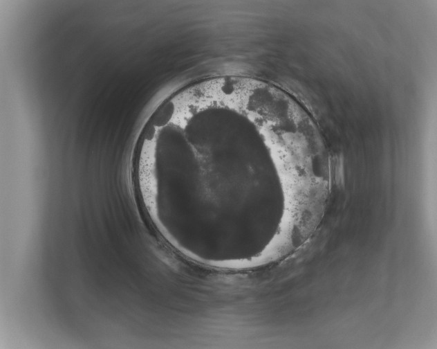 X0000111050147200907231603