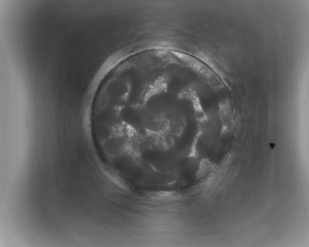 X0000111050151200907231603