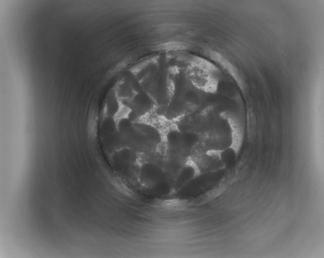 X0000111050153200907231603