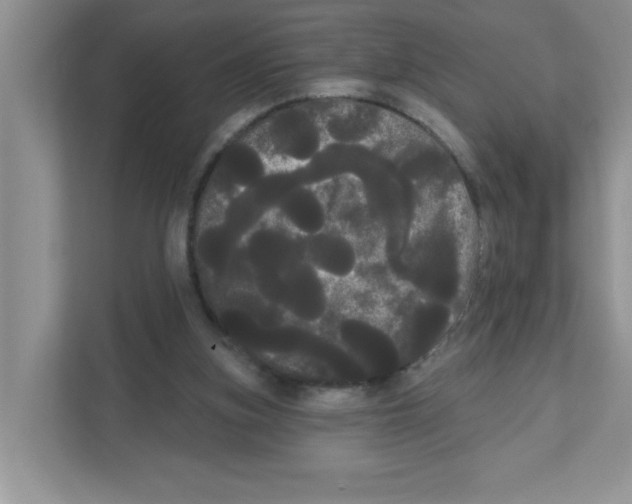 X0000111050155200907231603