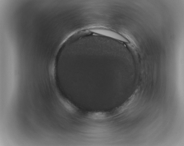 X0000111050156200907231603