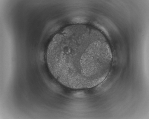 X0000111050162200907231603