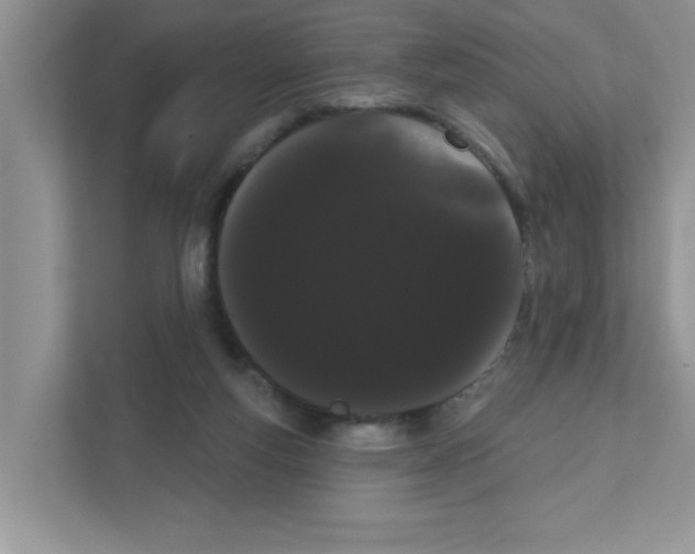 X0000111050163200907231603