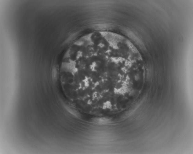 X0000111050165200907231603