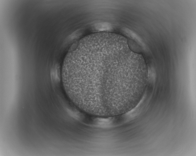 X0000111050170200907231603