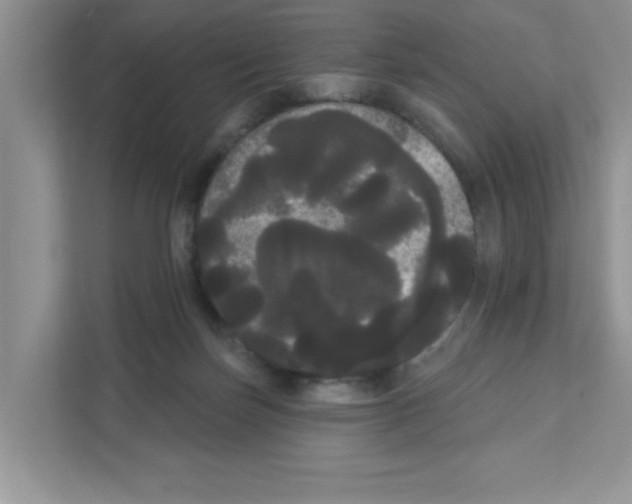 X0000111050171200907231603