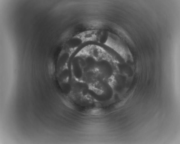 X0000111050173200907231603