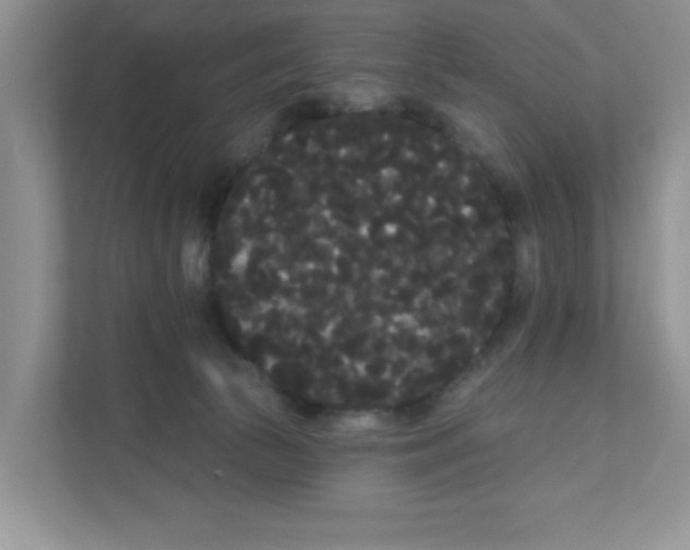 X0000111050177200907231603