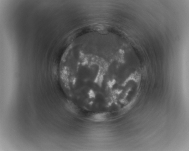 X0000111050178200907231603