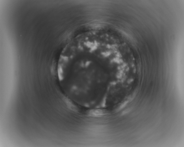 X0000111050181200907231603