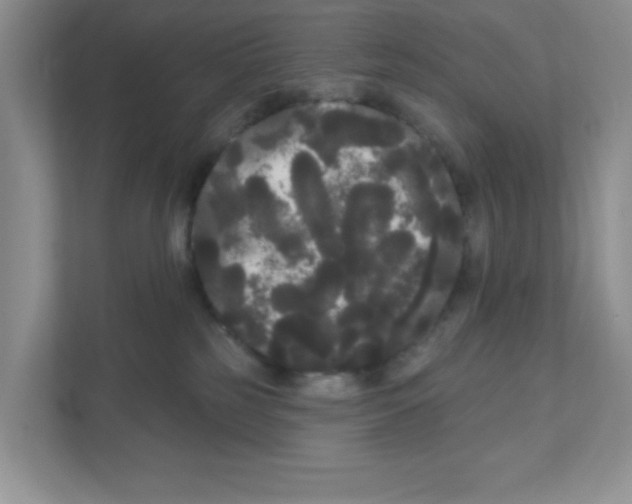 X0000111050185200907231603