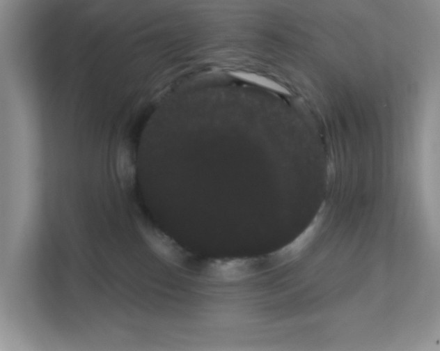 X0000111050186200907231603