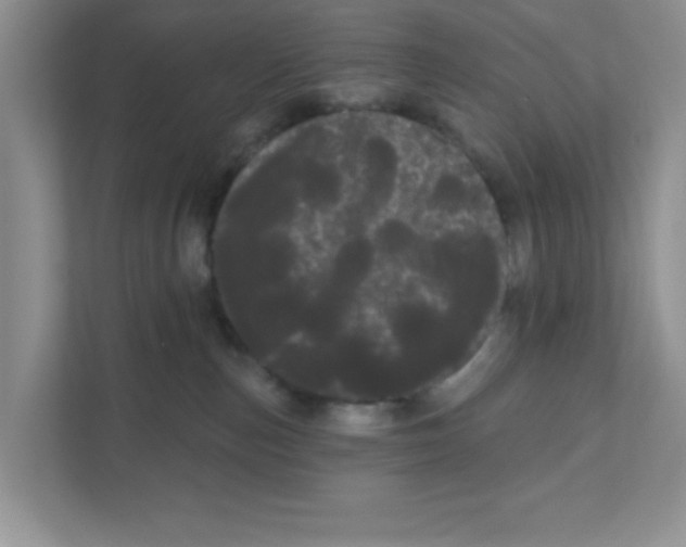 X0000111050187200907231603