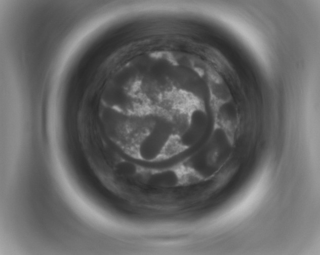 X0000111050191200907231603