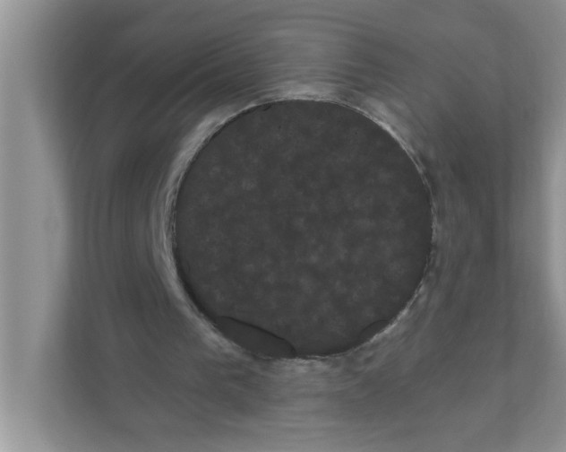 X0000111050193200907231603