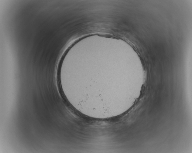 X0000111050195200907231603