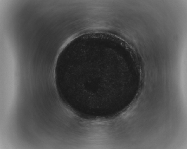 X0000111050196200907231603