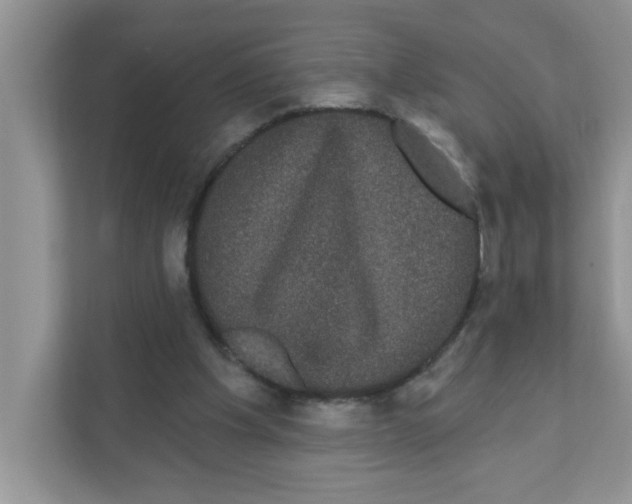 X0000111050201200907231603