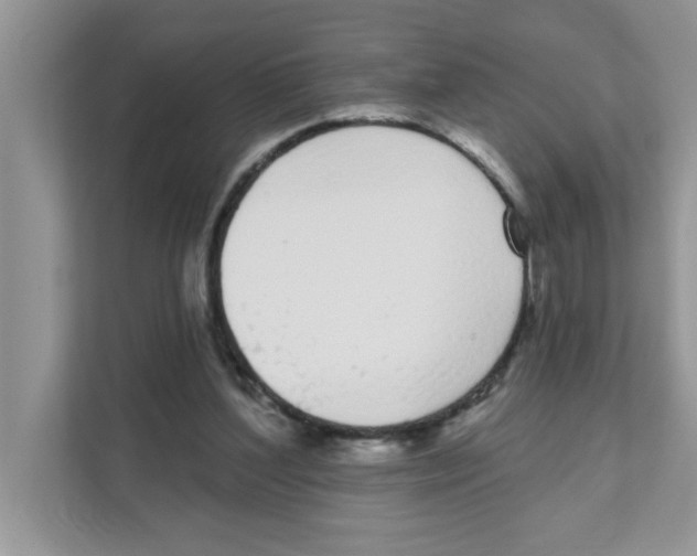 X0000111050204200907231603