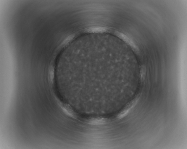 X0000111050206200907231603