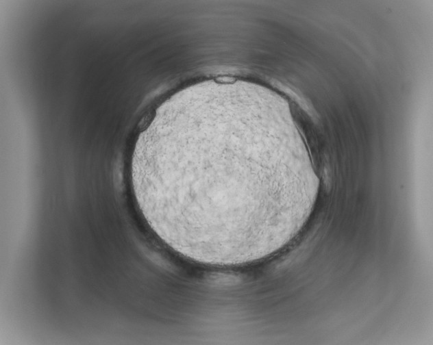 X0000111050207200907231603