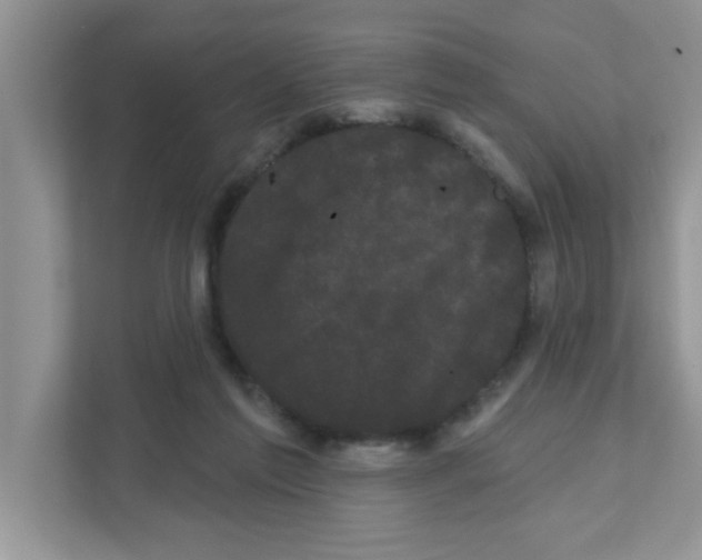 X0000111050213200907231603