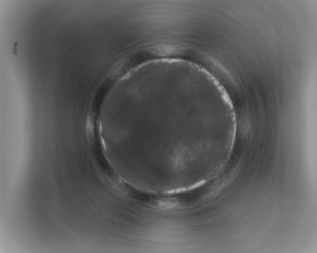 X0000111050214200907231602