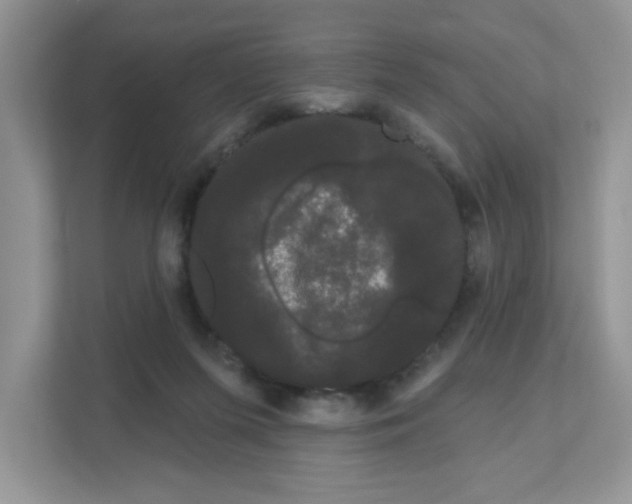 X0000111050215200907231602