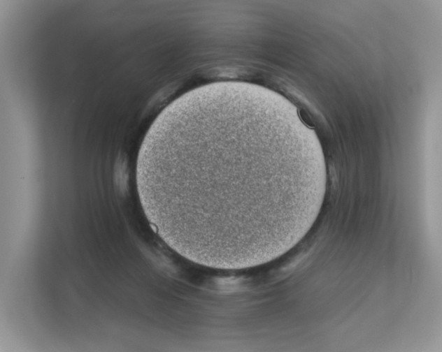 X0000111050216200907231602