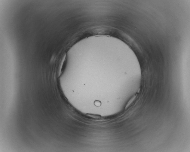 X0000111050217200907231602