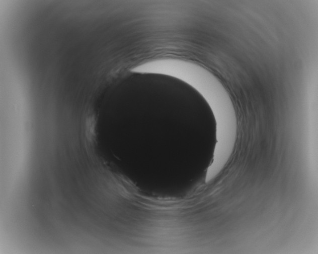 X0000111050219200907231602