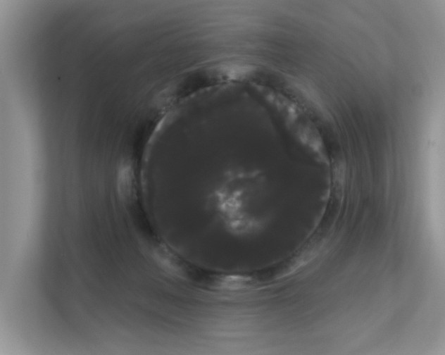 X0000111050222200907231602