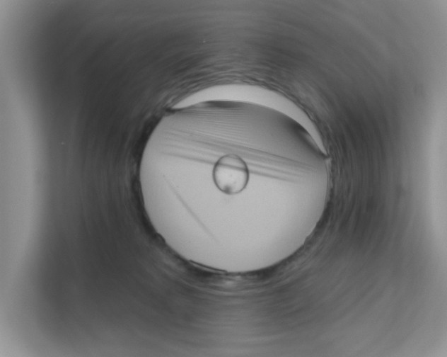 X0000111050229200907231602