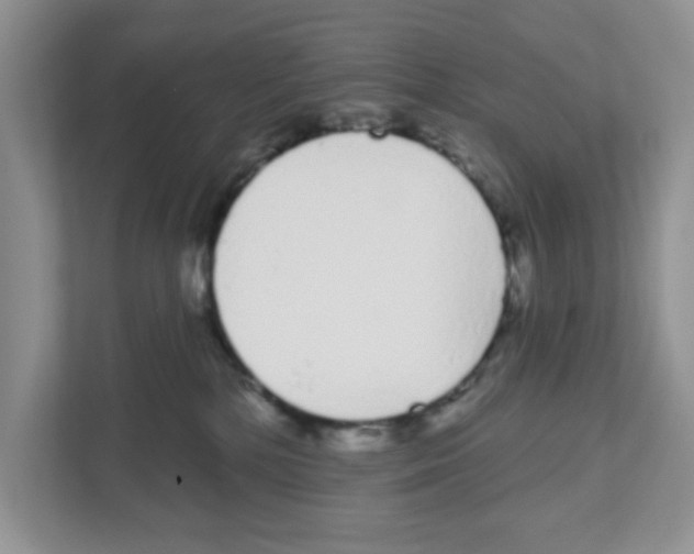 X0000111050232200907231602