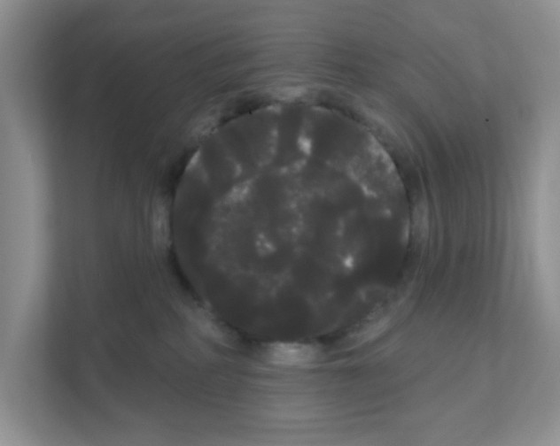 X0000111050234200907231602