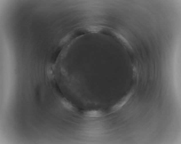 X0000111050237200907231602