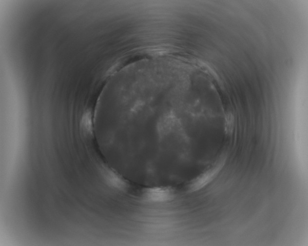 X0000111050238200907231602