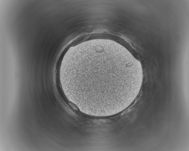 X0000111050242200907231601