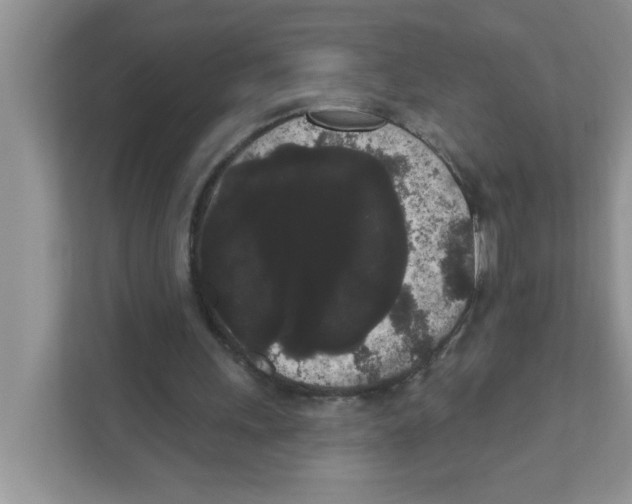 X0000111050243200907231601