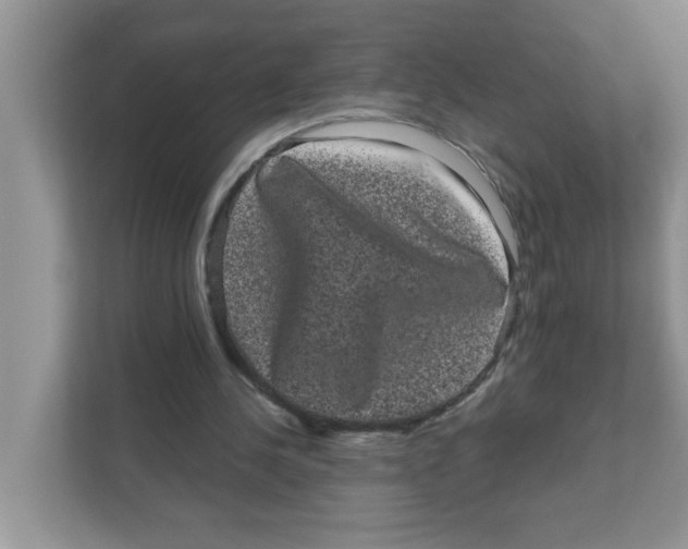 X0000111050244200907231601