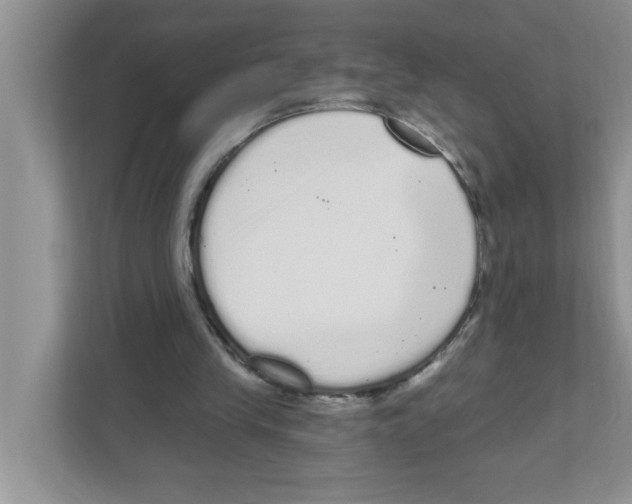 X0000111050245200907231602