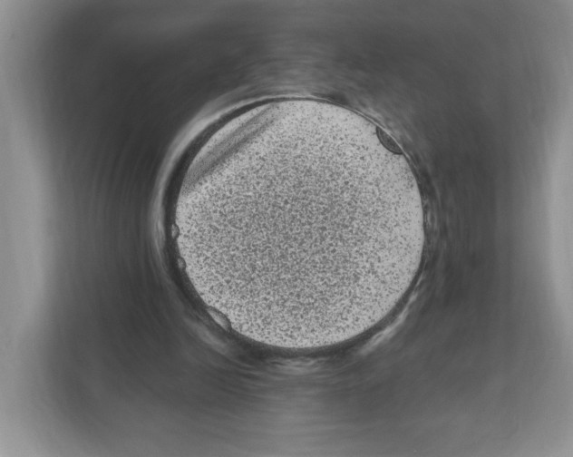 X0000111050246200907231602