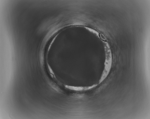 X0000111050247200907231602