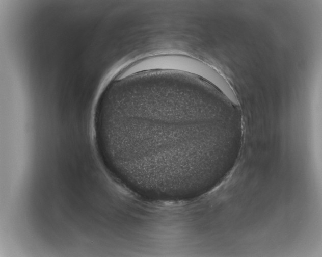 X0000111050248200907231602